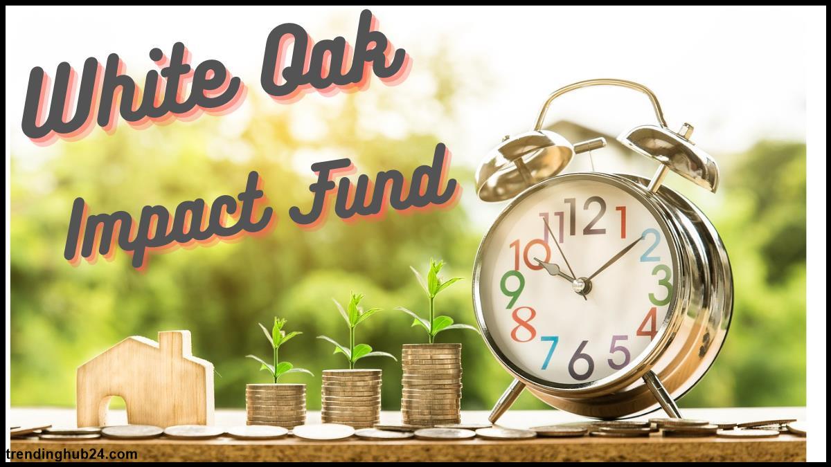 Understanding The Key Of White Oak Impact Fund.jpg